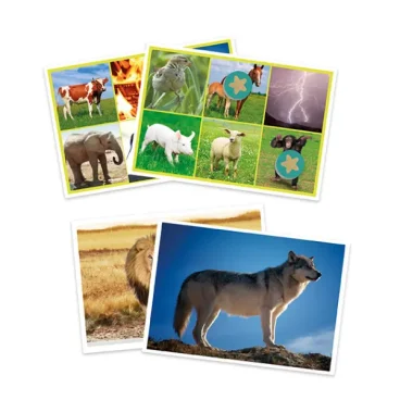 Bingo de Sons - Animais e Natureza