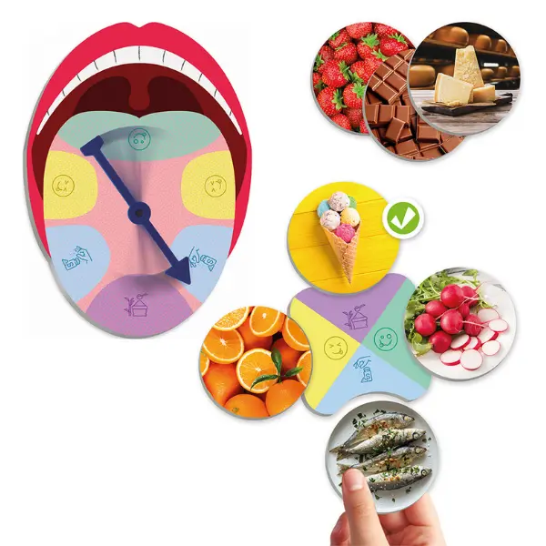 O Paladar e os Sabores - Jogo de Associação - Image 2