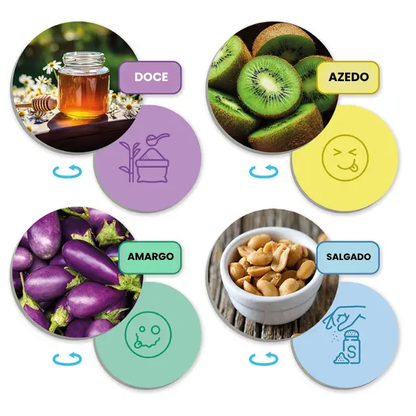 O Paladar e os Sabores - Jogo de Associação